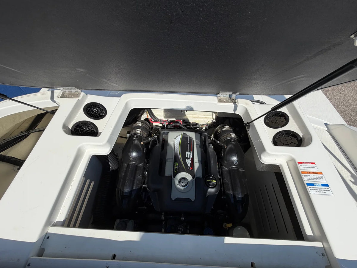 2016 Sea Ray 19 SPX 19.0 feet, Excelsior, Minnesota #10