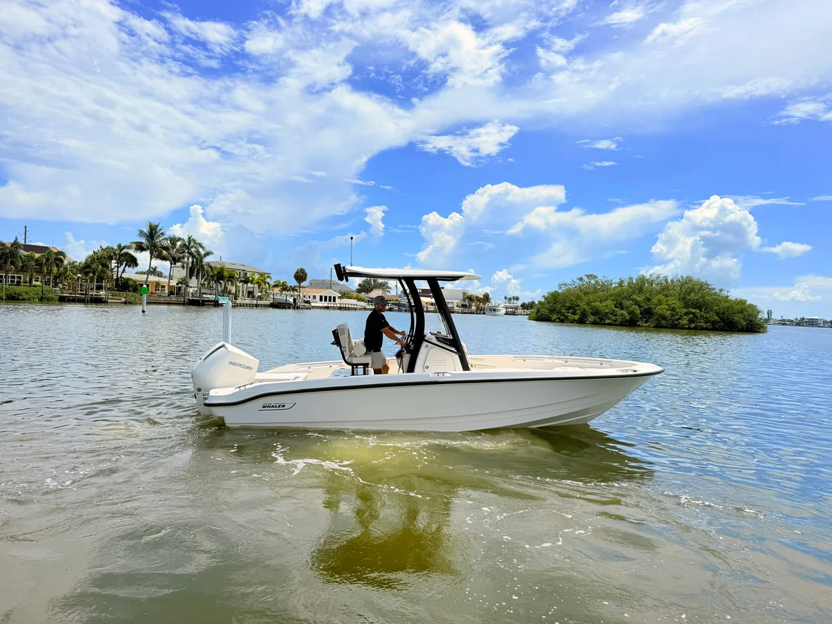 2027 Boston Whaler 220 Dauntless 22.0 feet, St Petersburg, FL #18