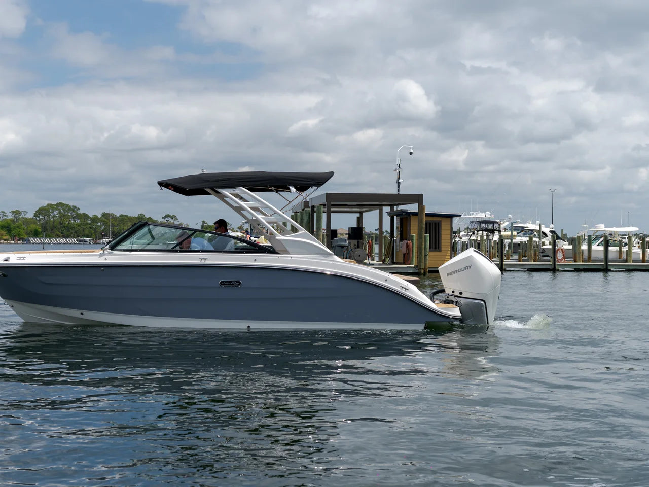 2026 Sea Ray SDX 250 Outboard 25.0 feet, Panama City, FL #1