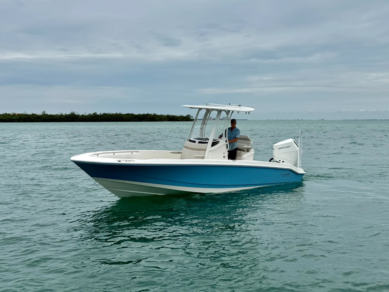 2026 Boston Whaler 250 Dauntless 25.0 feet, Sarasota, FL #2