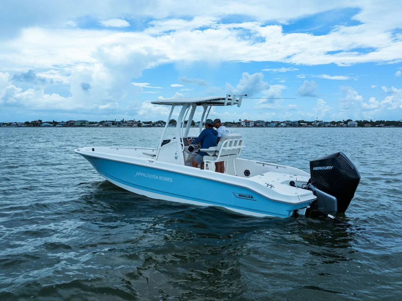 2024 Boston Whaler 250 DAUNTLESS 25.0 feet, St Petersburg, FL #40