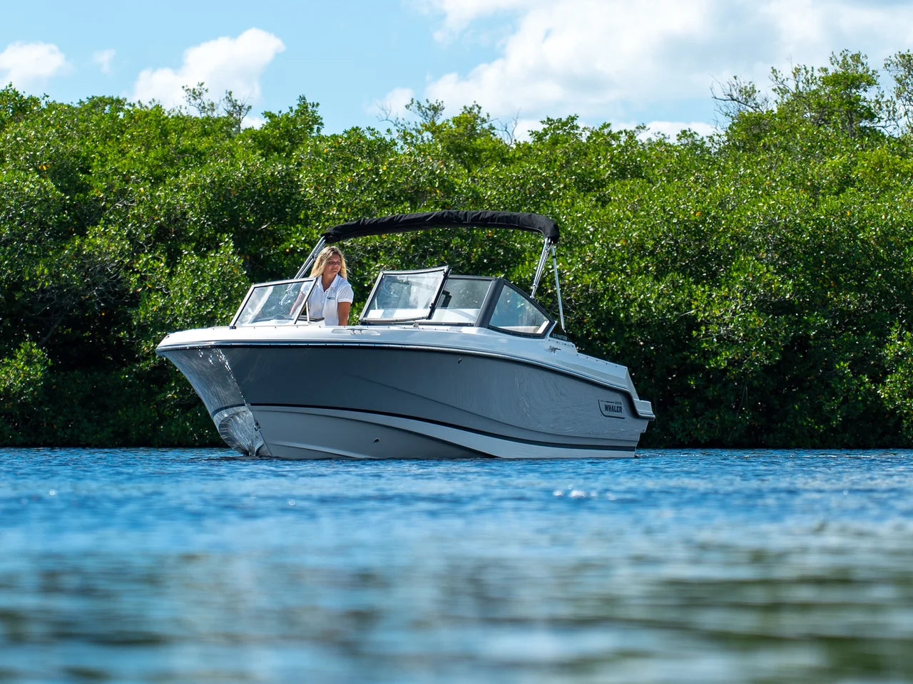 2026 Boston Whaler 210 Vantage 21.0 feet, Fort Myers, FL #19