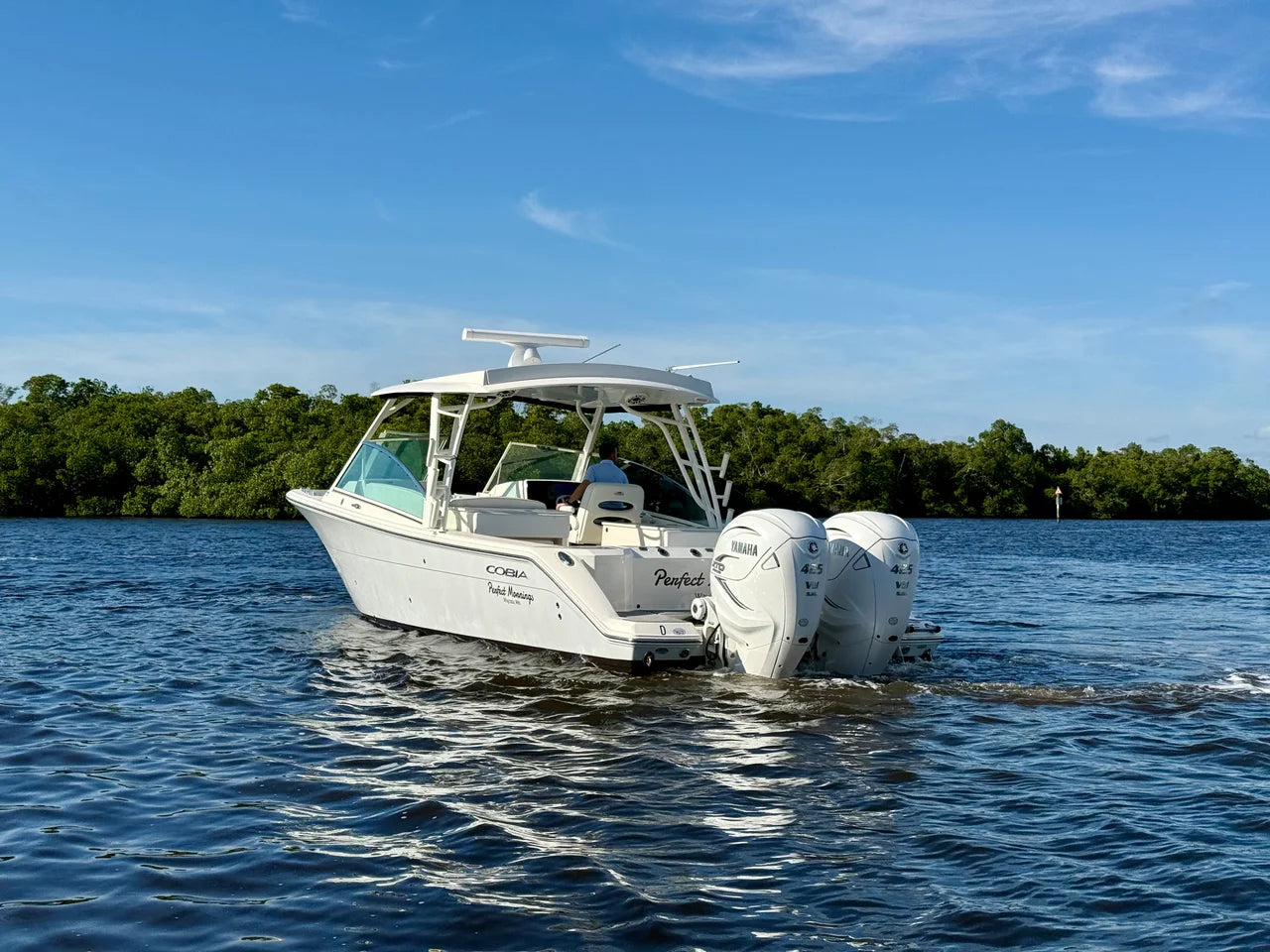 2022 Cobia 330 DUAL CONSOLE 33.0 feet, Fort Myers, Florida #10