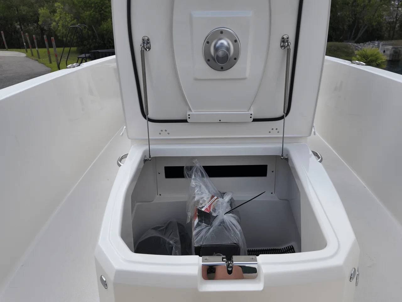 2025 Boston Whaler 220 Dauntless 22.0 feet, Charleston, SC #27