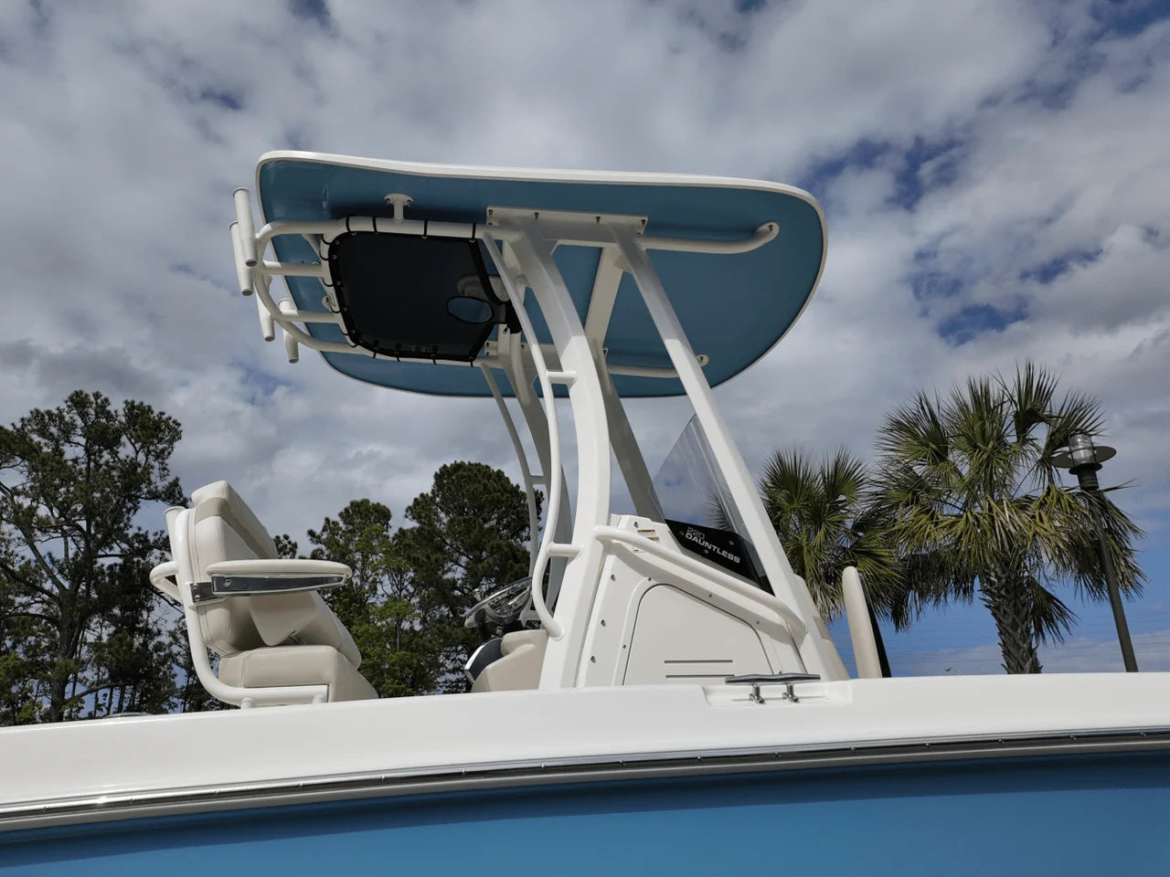 2025 Boston Whaler 220 Dauntless 22.0 feet, Charleston, SC #3
