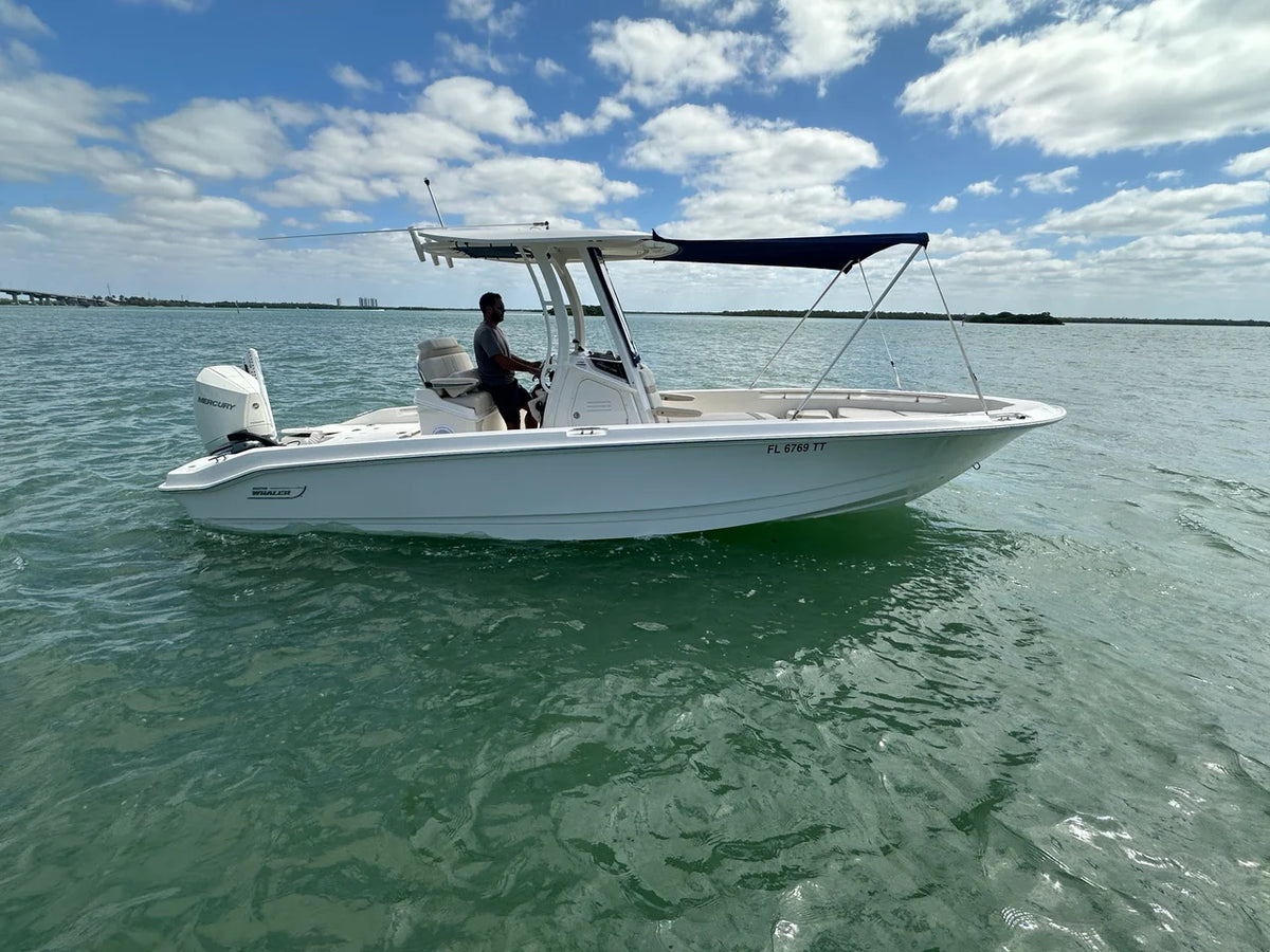 2024 Boston Whaler 250 DAUNTLESS 25.0 feet, Naples, Florida #1