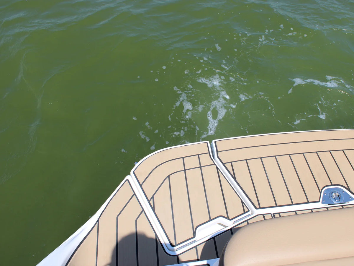 2026 Sea Ray SDX 230 Surf 23.0 feet, Seabrook, TX #10