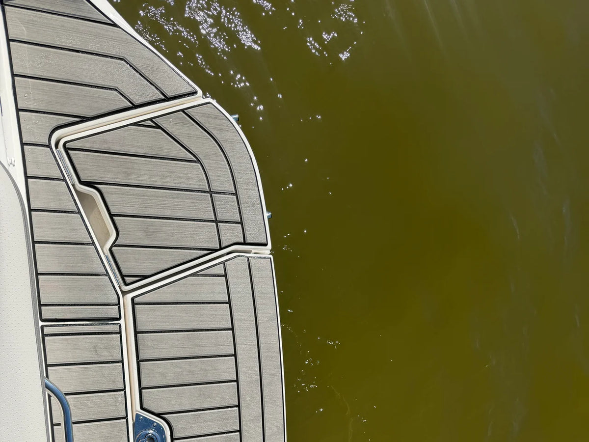 2026 Sea Ray SDX 230 23.0 feet, Lake Wylie, SC #10