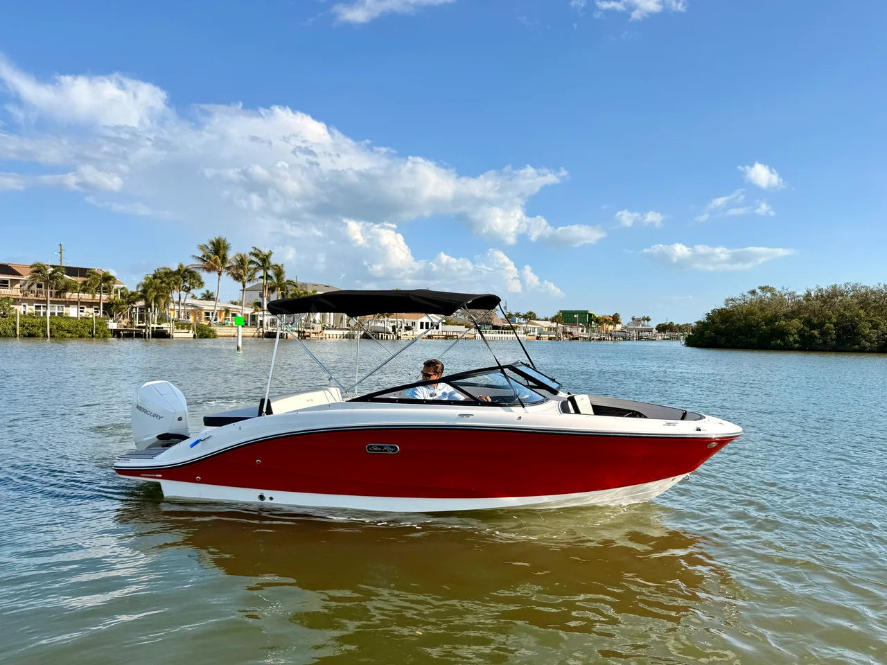 2026 Sea Ray SPX 210 Outboard 21.0 feet, St Petersburg, FL #3