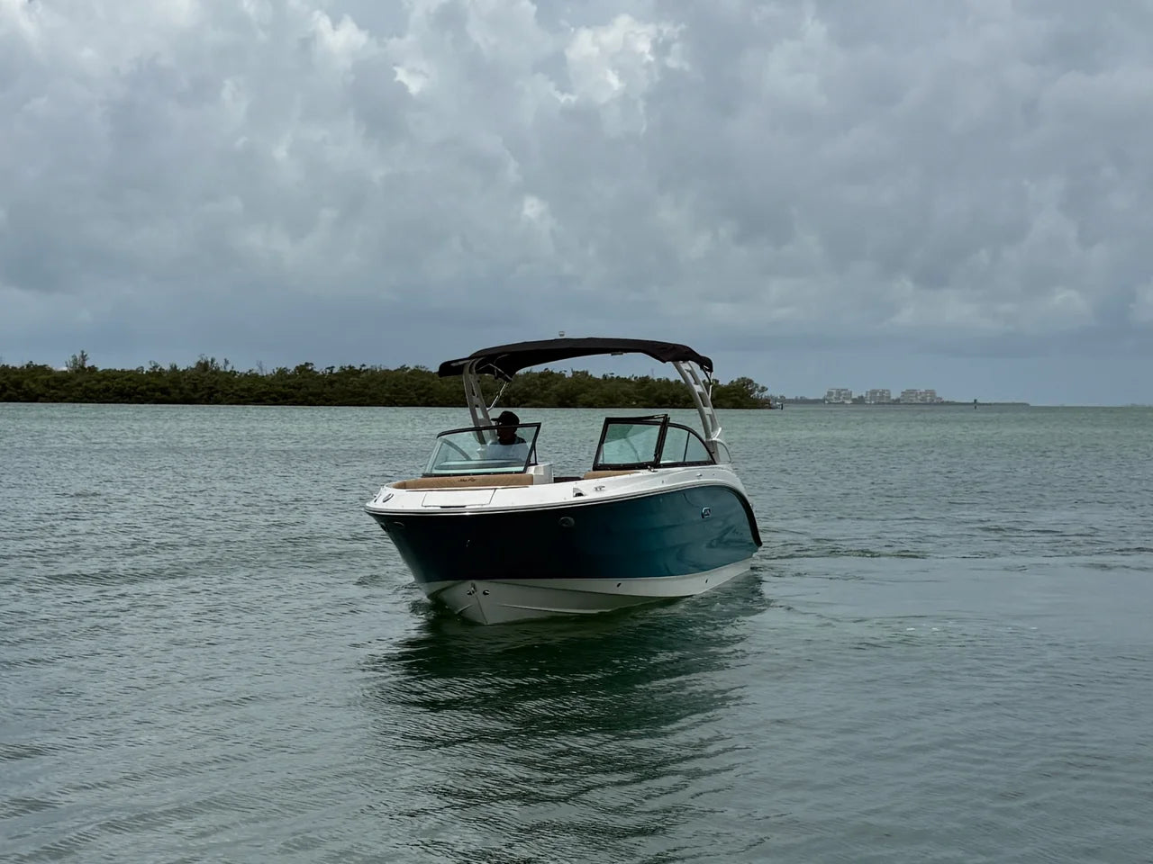 2026 Sea Ray SDX 250 Outboard 25.0 feet, Sarasota, FL #3