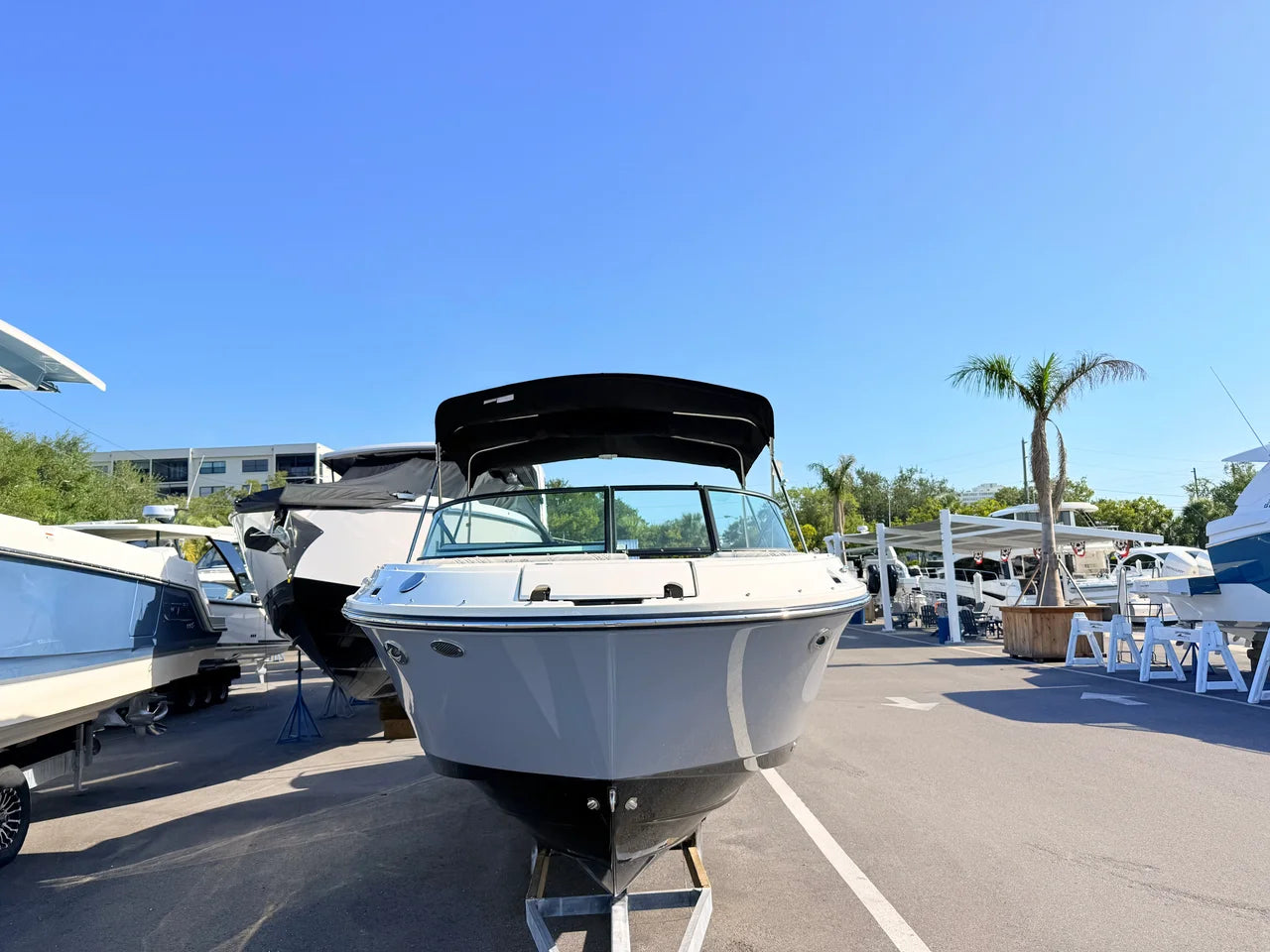 2026 Sea Ray SDX 250 Outboard 25.0 feet, St Petersburg, FL #4
