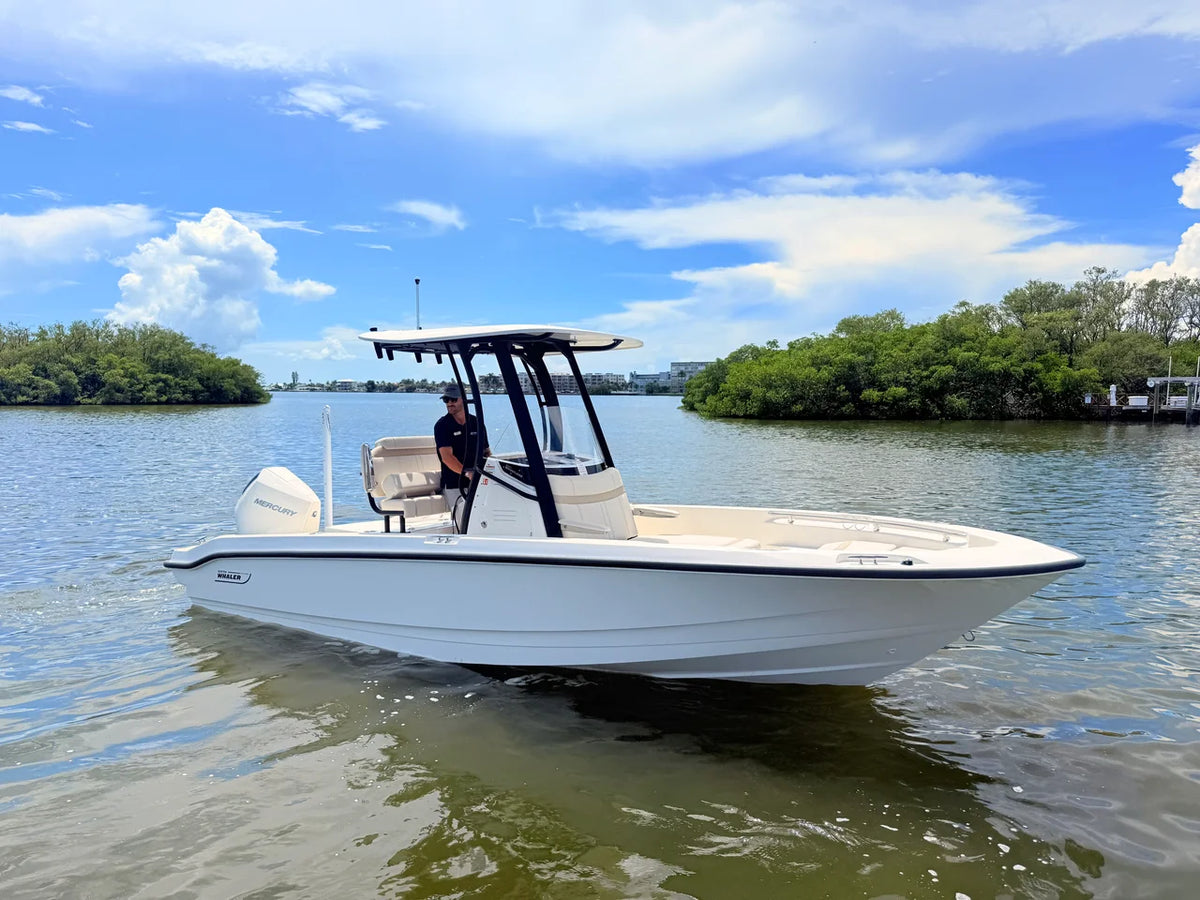 2027 Boston Whaler 220 Dauntless 22.0 feet, St Petersburg, FL #3