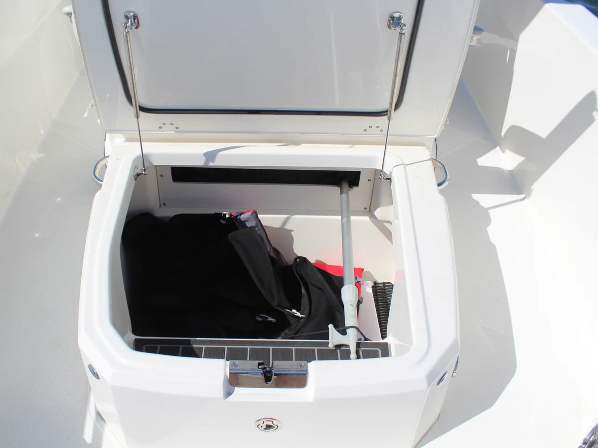 2025 Boston Whaler 250 DAUNTLESS 25.0 feet, Wilmington, NC #15