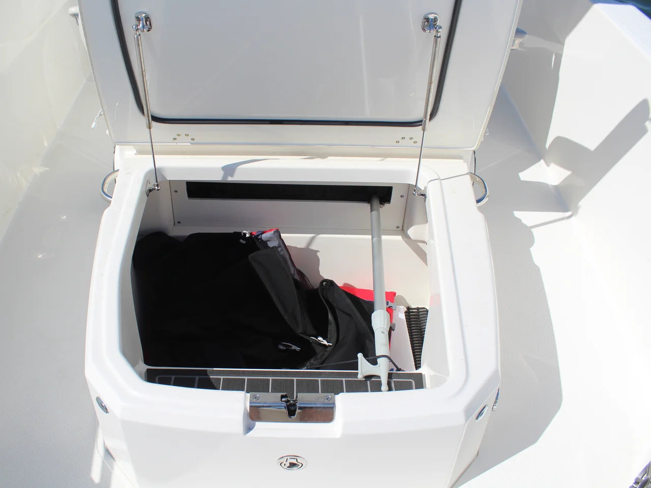 2025 Boston Whaler 250 DAUNTLESS 25.0 feet, Wilmington, NC #15