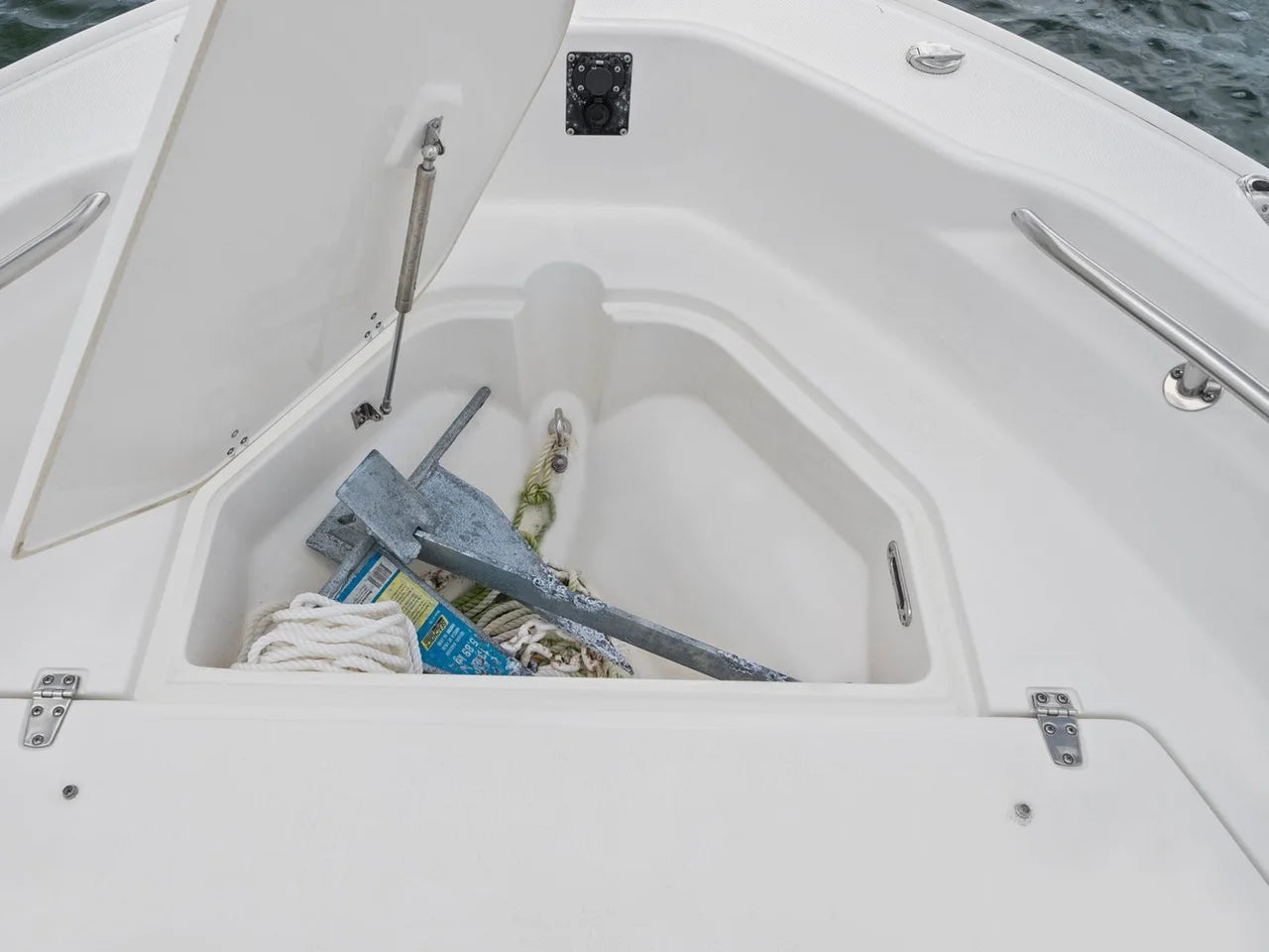 2024 Boston Whaler 250 DAUNTLESS 25.0 feet, St Petersburg, FL #17