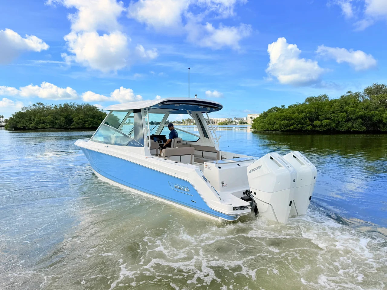 2027 Boston Whaler 330 Vantage 33.0 feet, St Petersburg, FL #20