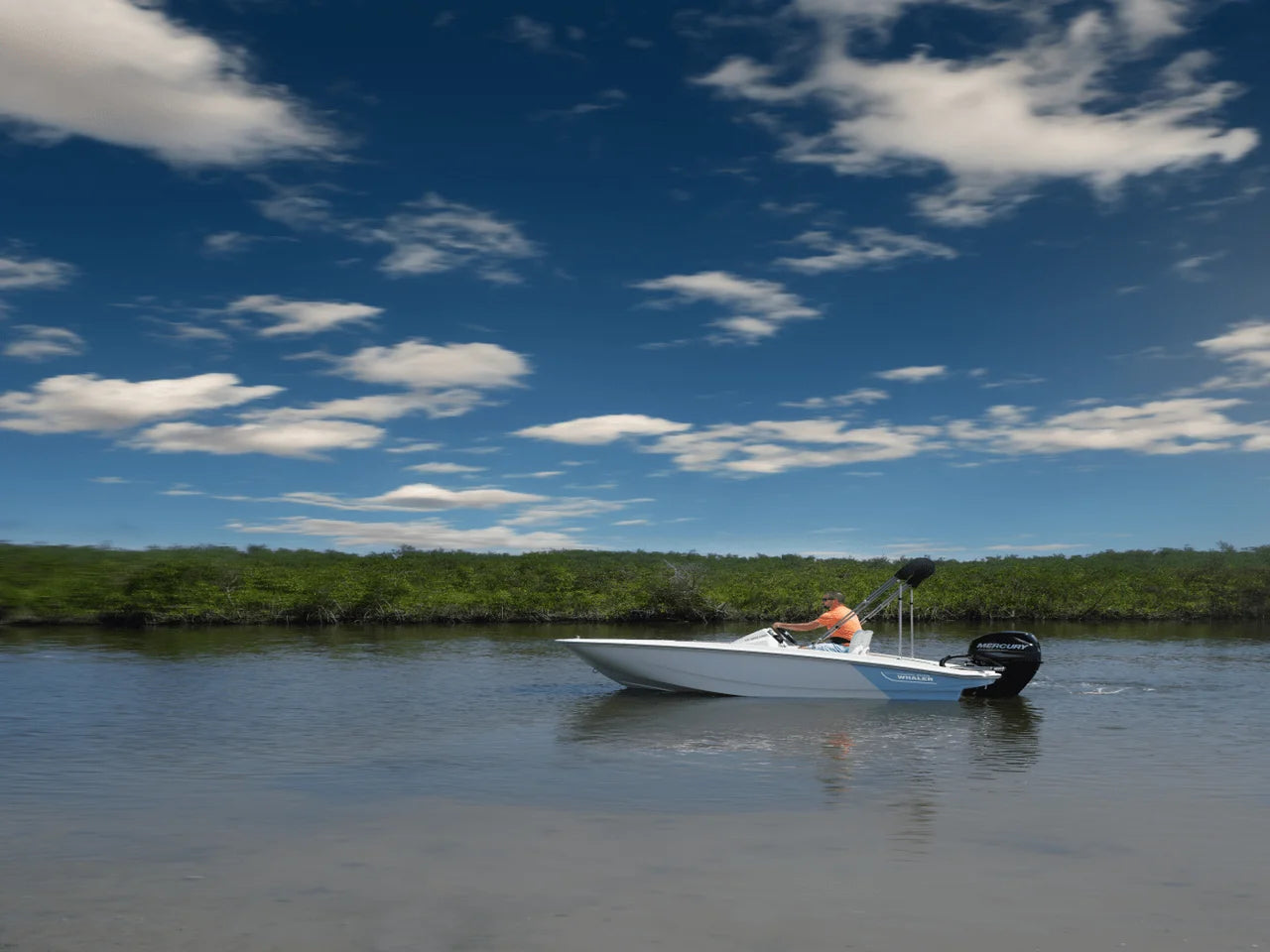 2026 Boston Whaler 130 Super Sport 13.0 feet, Greenville, SC #18