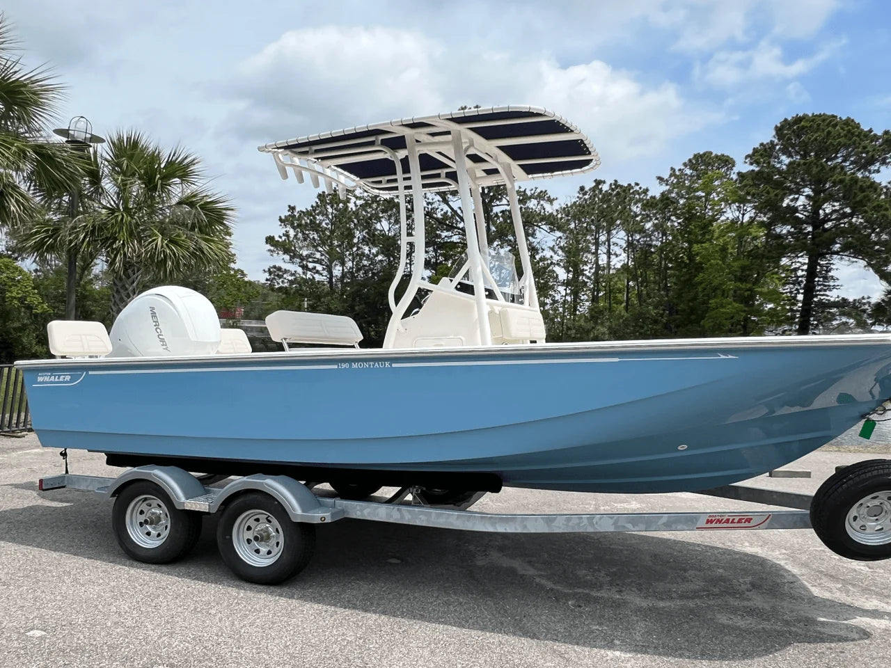 2025 Boston Whaler 190 Montauk 19.0 feet, Charleston, SC #1