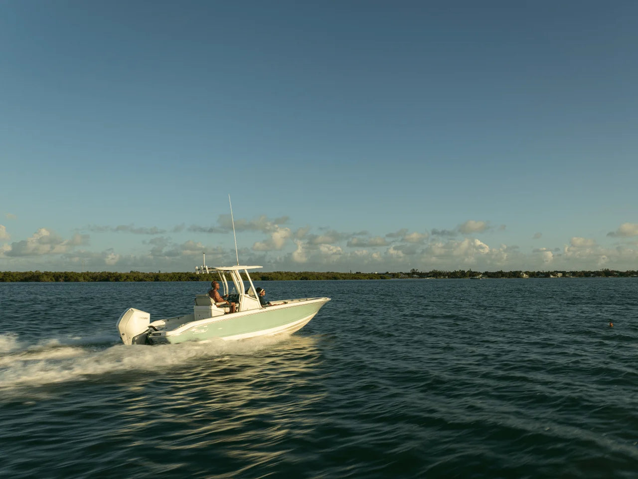 2027 Boston Whaler 250 Dauntless 25.0 feet, Naples, Florida #35