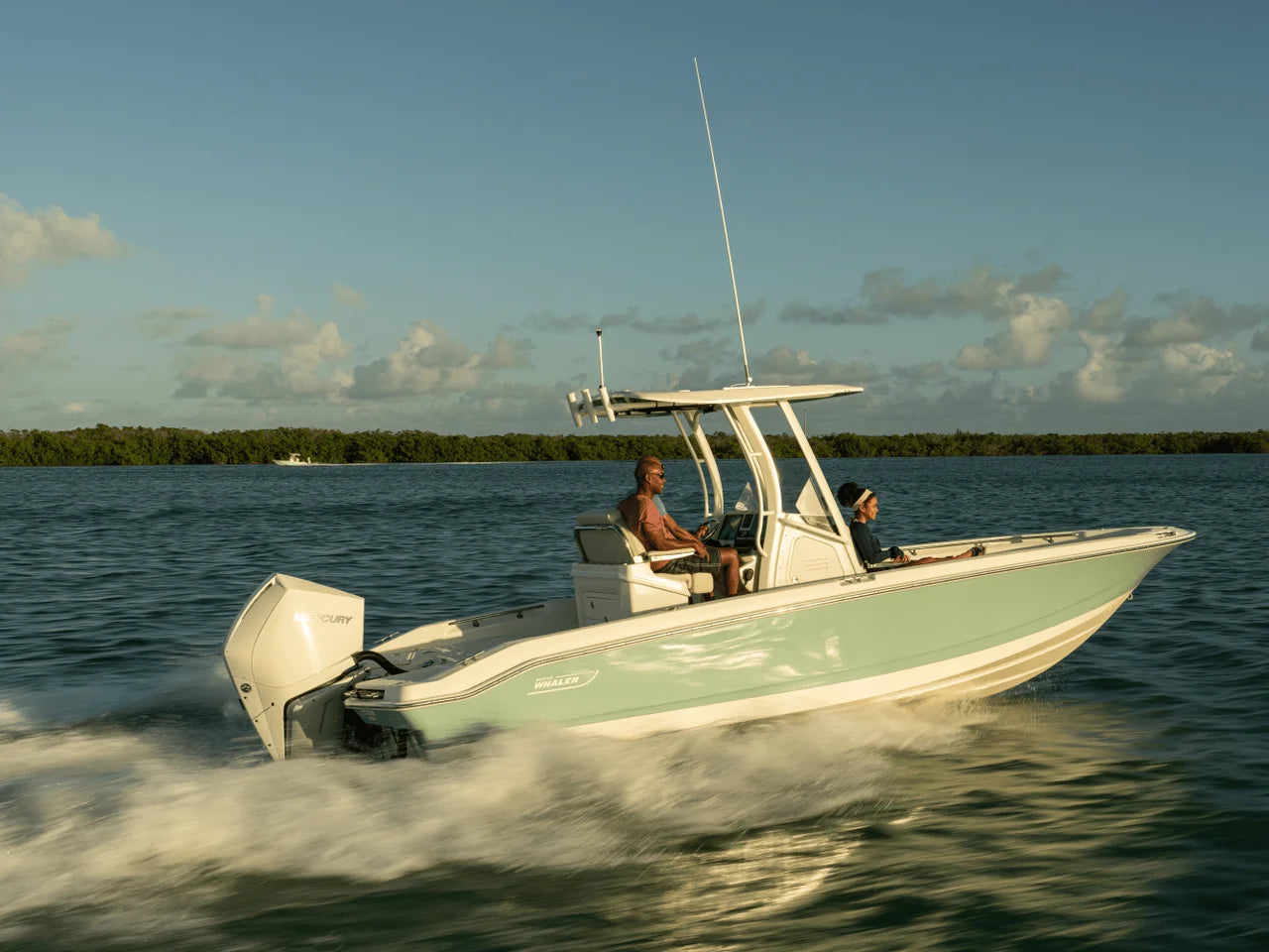 2027 Boston Whaler 250 Dauntless 25.0 feet, Gulf Shores, AL #34