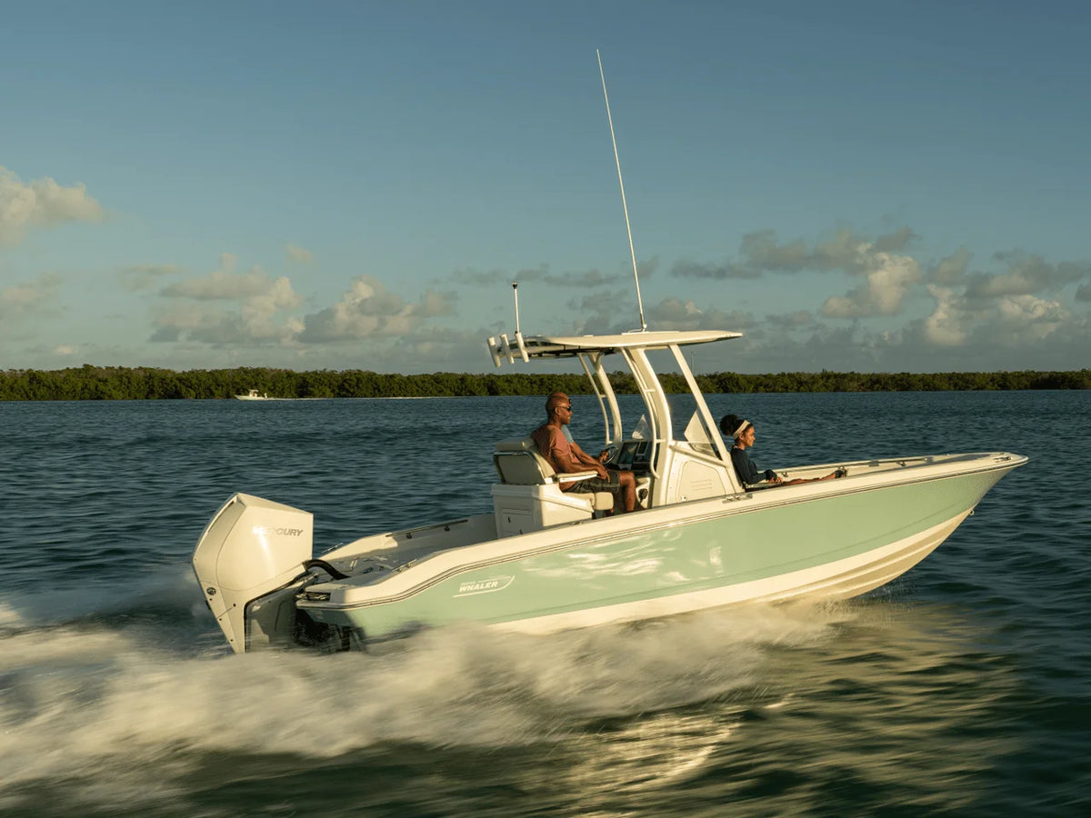 2027 Boston Whaler 250 Dauntless 25.0 feet, Naples, Florida #34