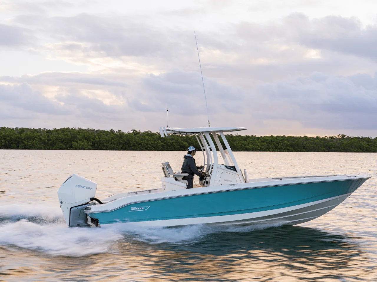 2027 Boston Whaler 250 Dauntless 25.0 feet, Gulf Shores, AL #33
