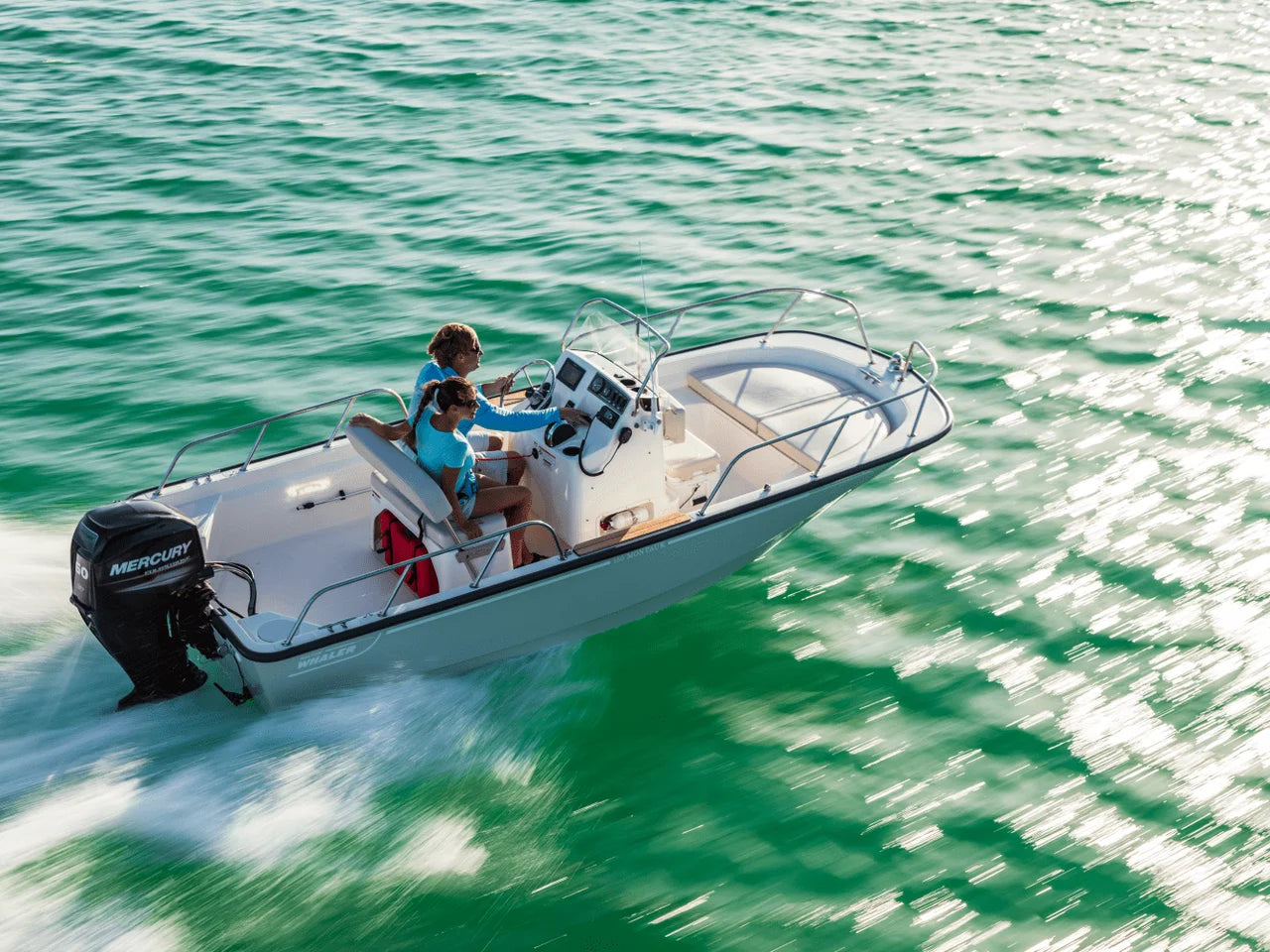 2027 Boston Whaler 150 Montauk 15.0 feet, Pensacola, Florida #13