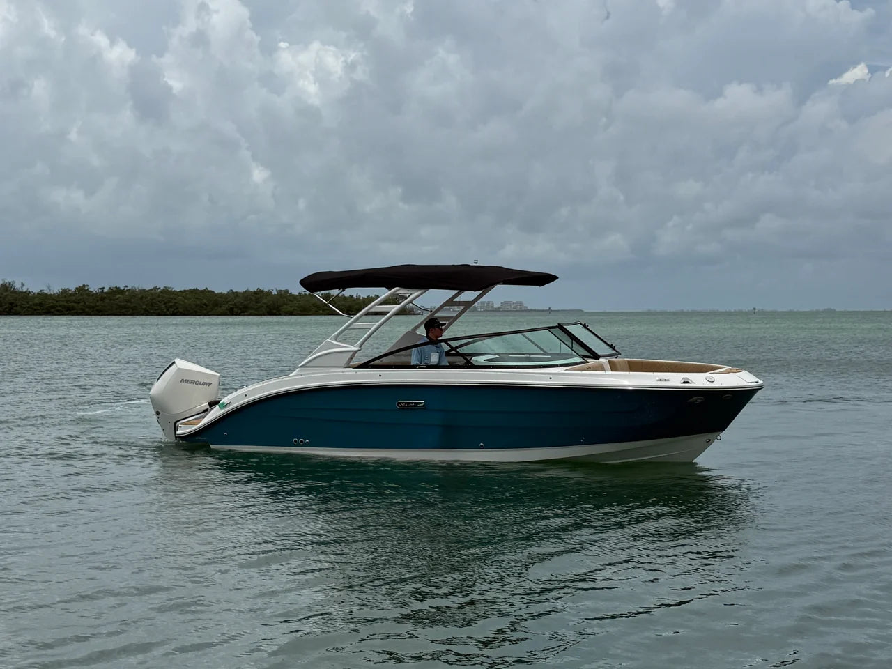 2026 Sea Ray SDX 250 Outboard 25.0 feet, Sarasota, FL #2