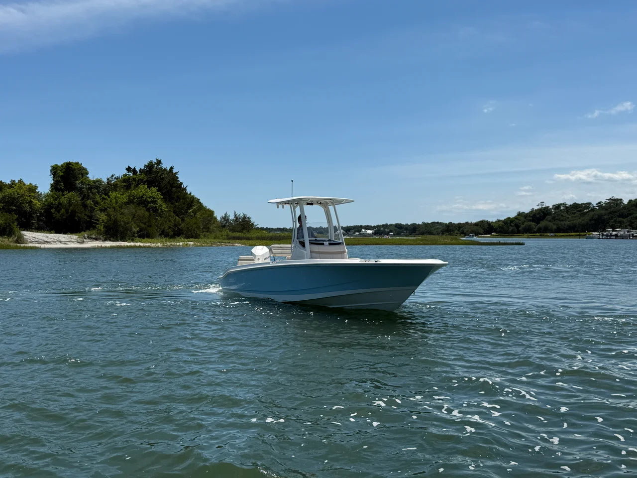 2026 Boston Whaler 250 Dauntless 25.0 feet, Wrightsville Beach, North Carolina #2