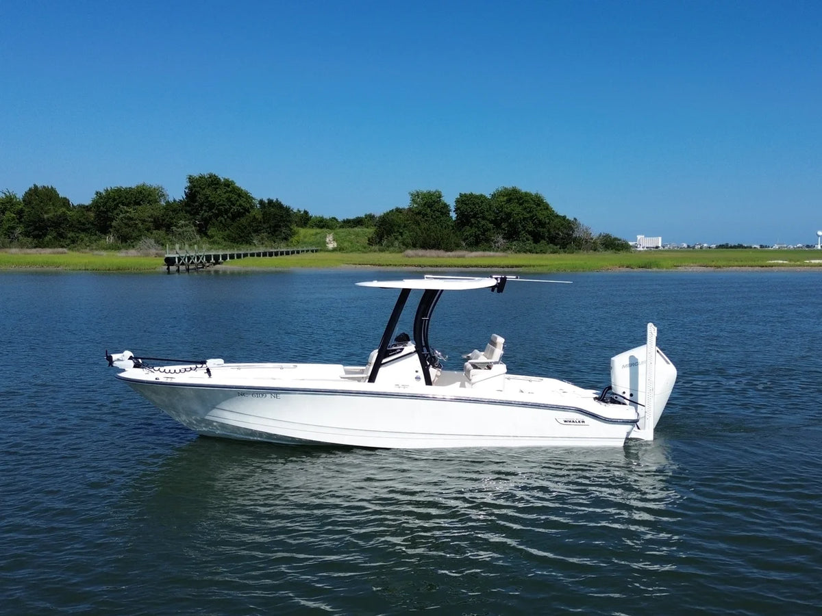 2025 Boston Whaler 250 DAUNTLESS 25.0 feet, Wilmington, NC #1