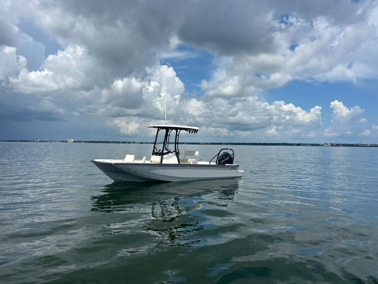2027 Boston Whaler 210 Montauk 21.0 feet, Pensacola, Florida #1