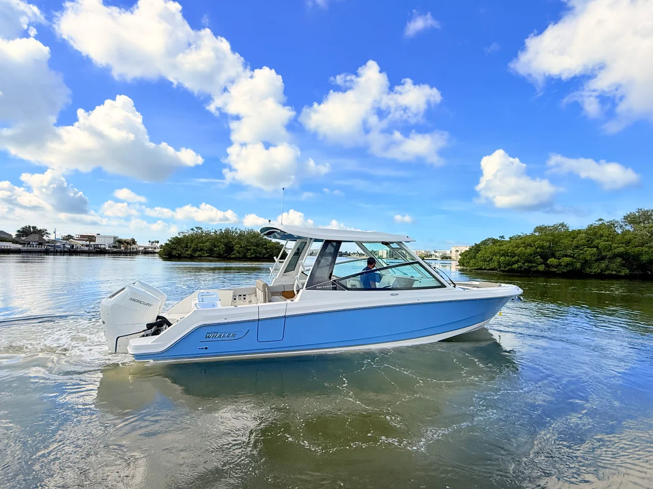 2027 Boston Whaler 330 Vantage 33.0 feet, St Petersburg, FL #14