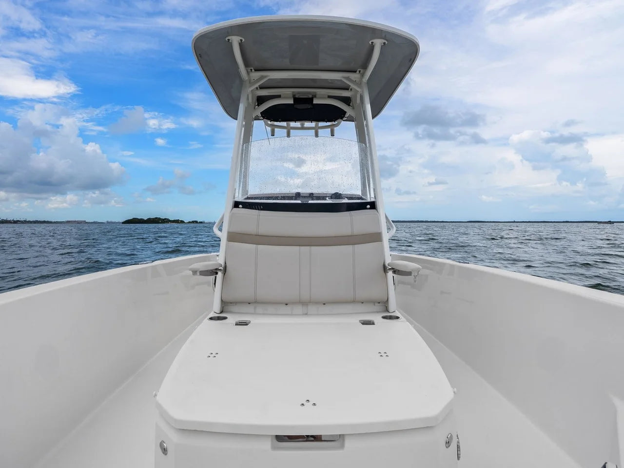 2024 Boston Whaler 250 DAUNTLESS 25.0 feet, St Petersburg, FL #21