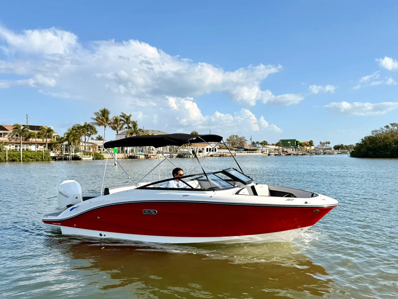 2026 Sea Ray SPX 210 Outboard 21.0 feet, St Petersburg, FL #2