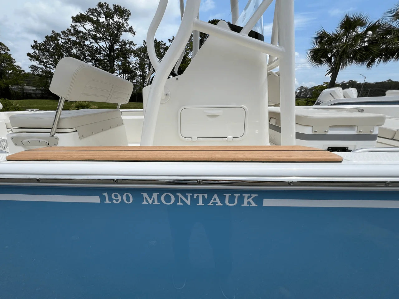 2025 Boston Whaler 190 Montauk 19.0 feet, Charleston, SC #12