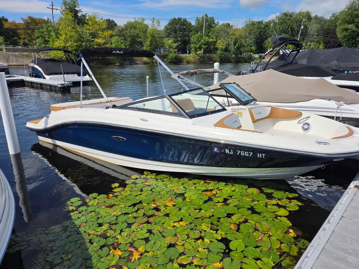 2018 Sea Ray 210 SPX 21.0 feet, Lake Hopatcong, NJ #1