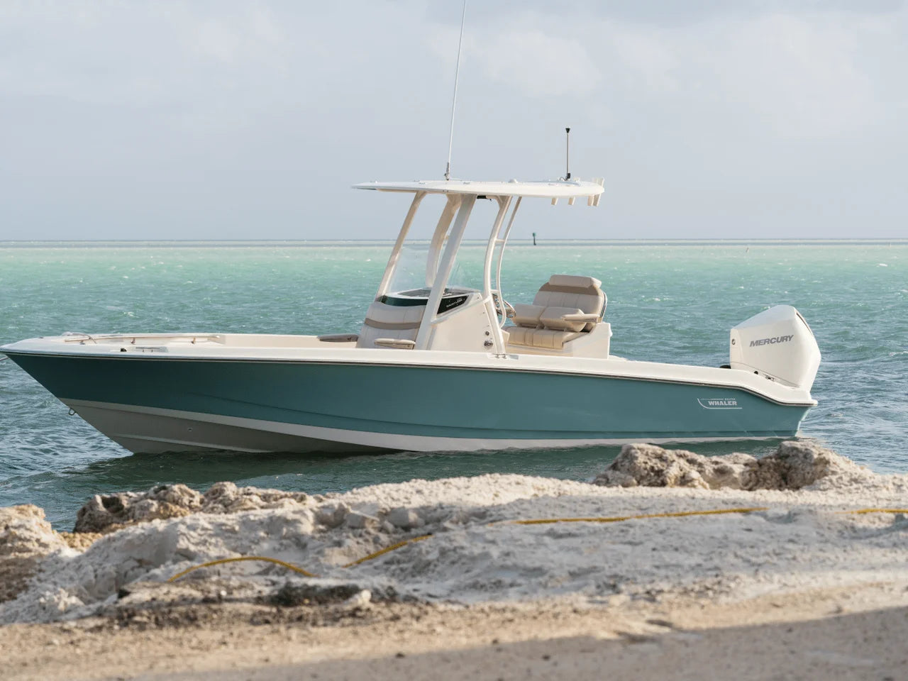 2027 Boston Whaler 250 Dauntless 25.0 feet, Clearwater, Florida #17