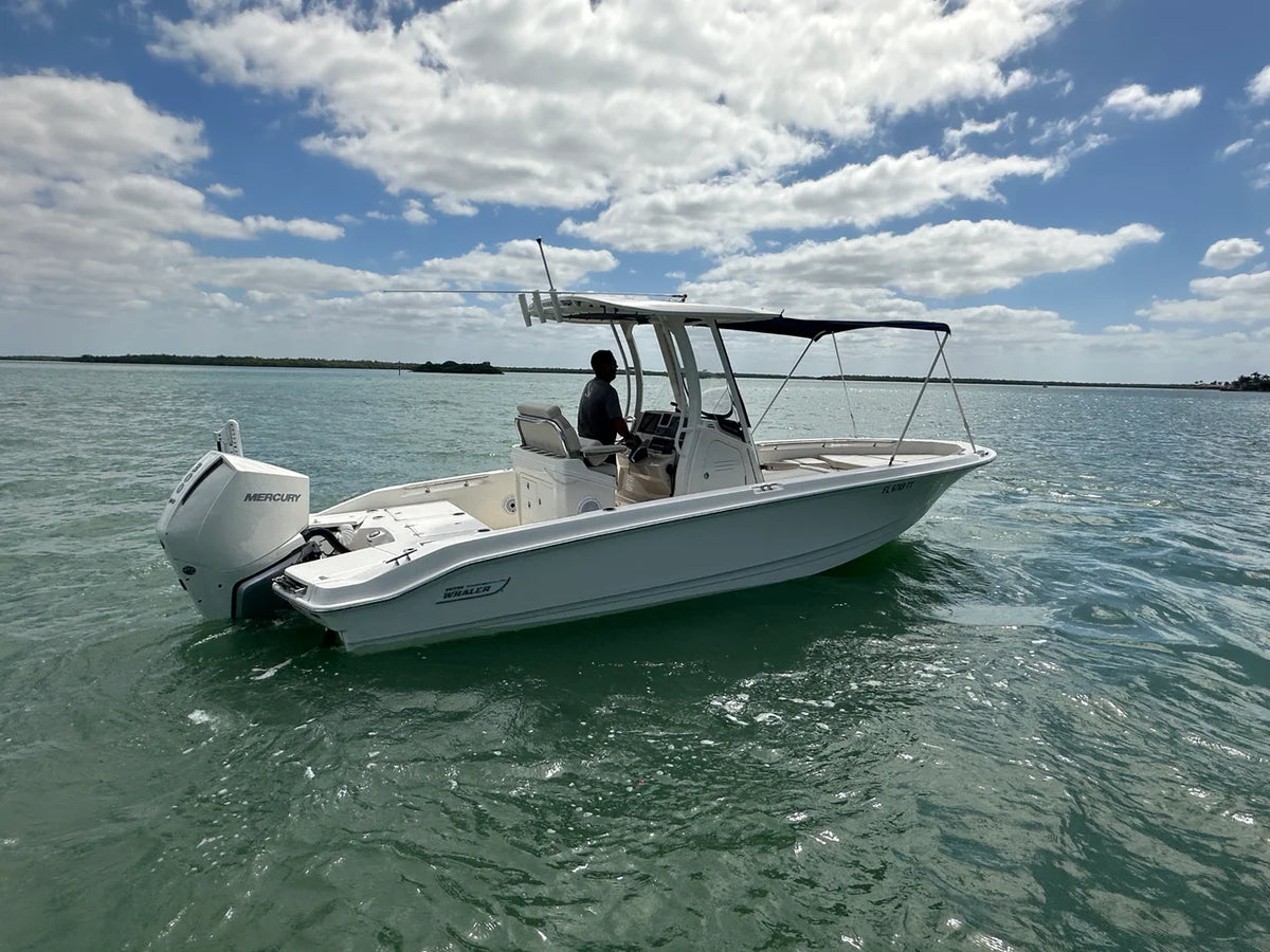 2024 Boston Whaler 250 DAUNTLESS 25.0 feet, Naples, Florida #5