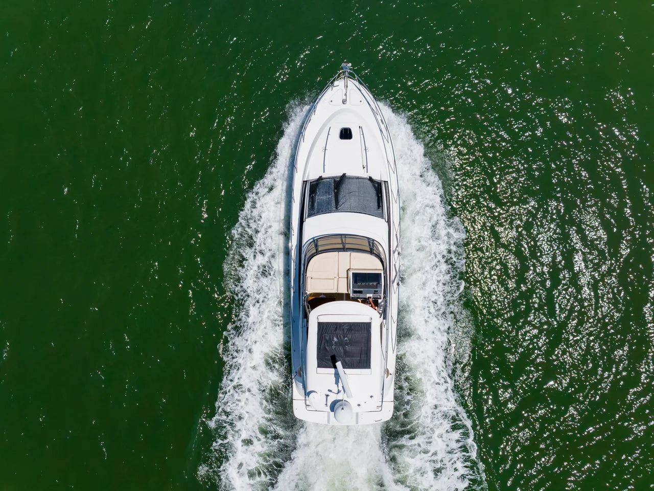 2016 Sea Ray 510 FLY 50.0 feet, St Petersburg, FL #3