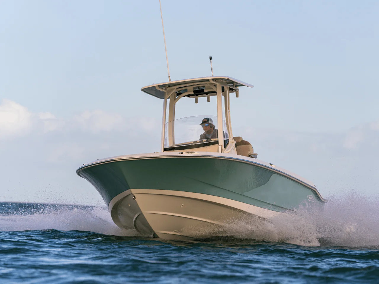 2027 Boston Whaler 250 Dauntless 25.0 feet, Gulf Shores, AL #21