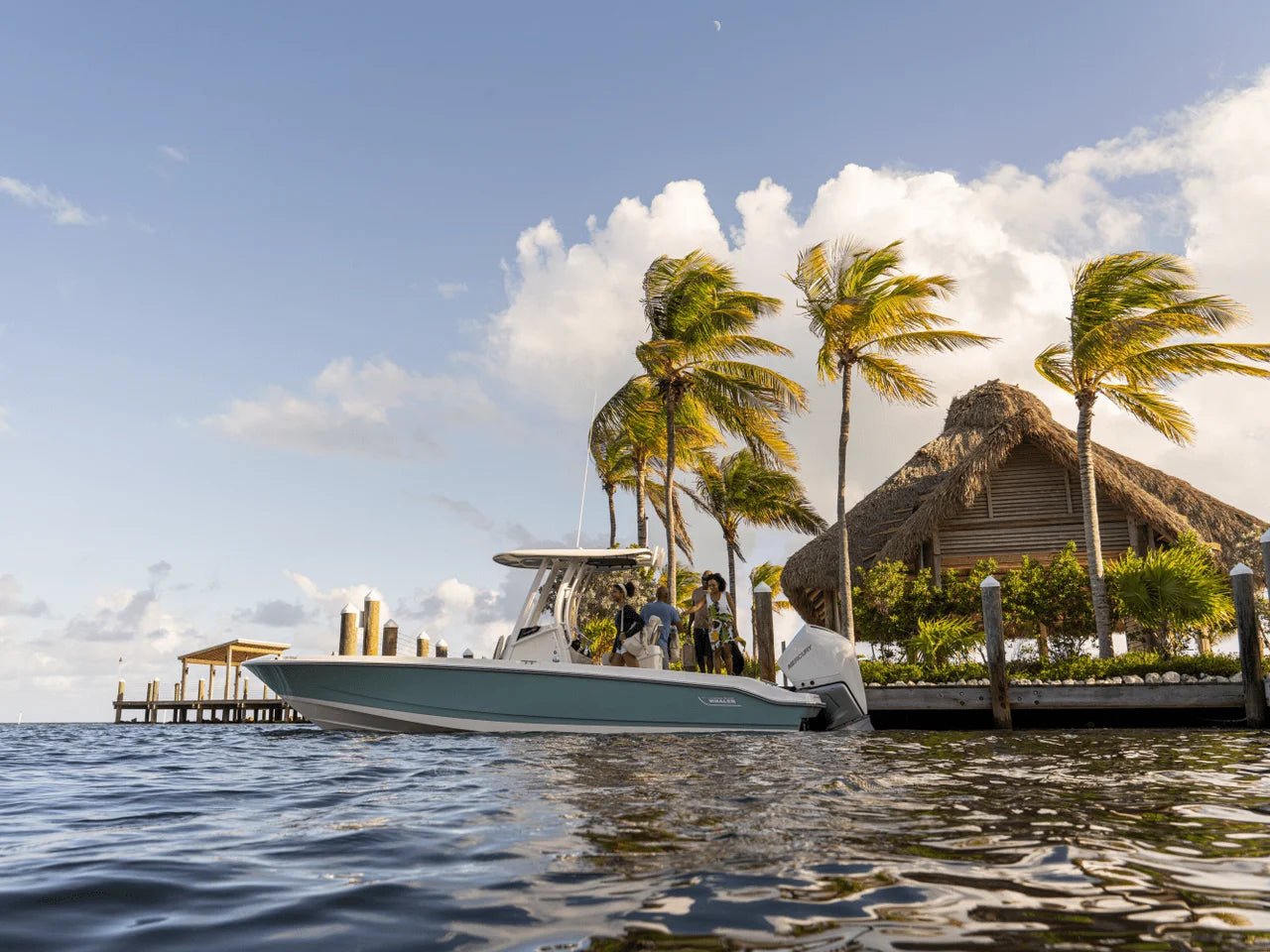 2027 Boston Whaler 250 Dauntless 25.0 feet, Naples, Florida #25