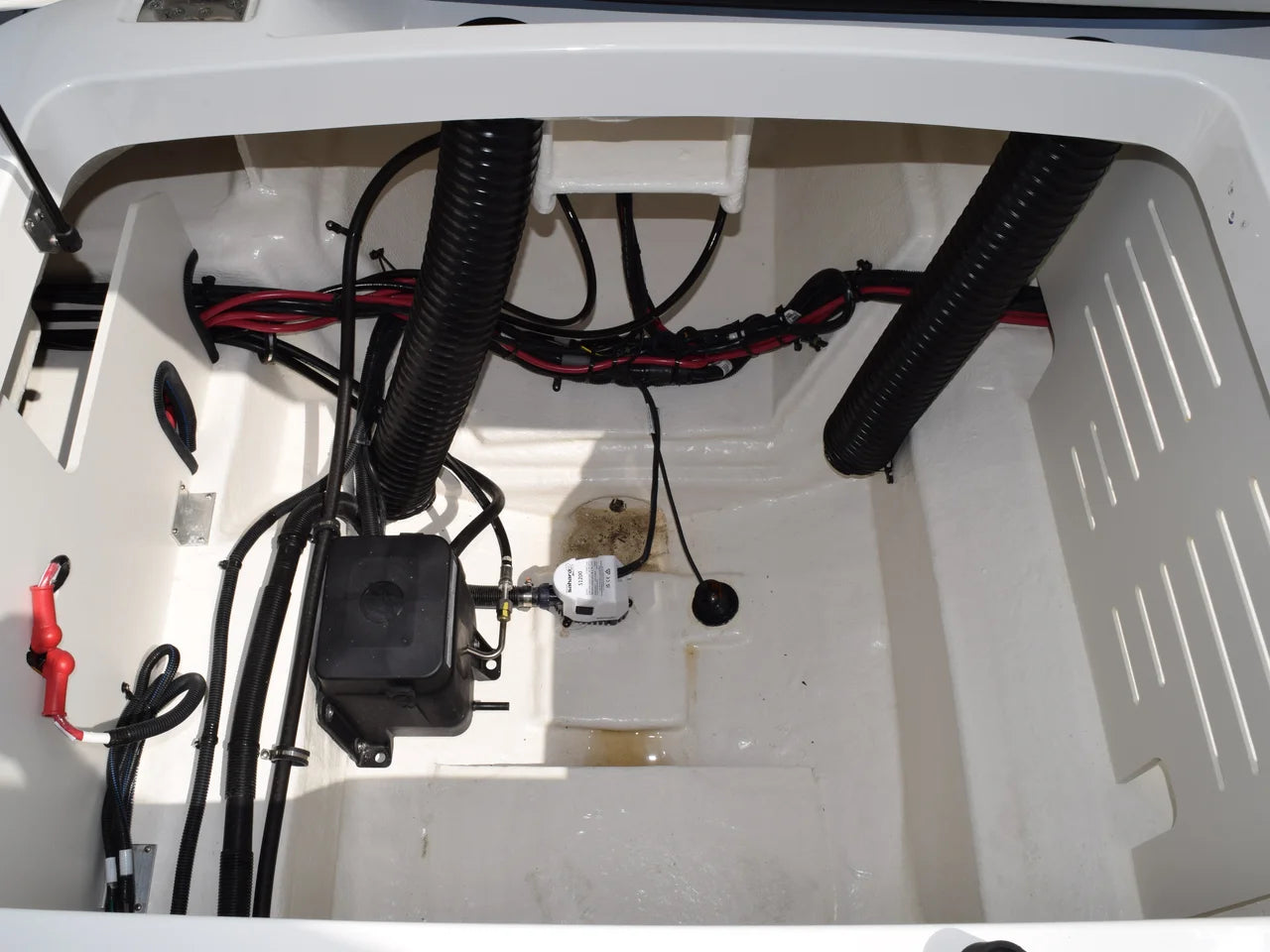 2026 Sea Ray SPX 210 Outboard 21.0 feet, Thunderbolt, GA #6