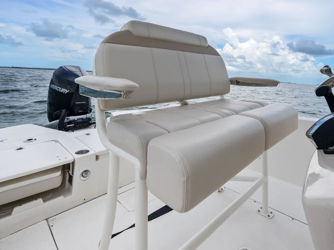 2024 Boston Whaler 250 DAUNTLESS 25.0 feet, St Petersburg, FL #22