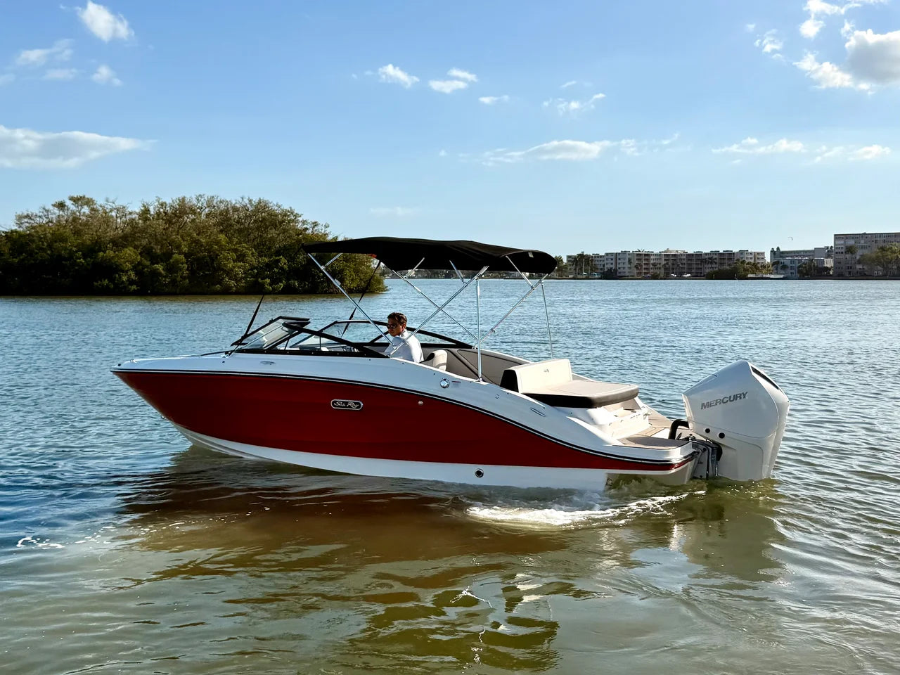 2026 Sea Ray SPX 210 Outboard 21.0 feet, St Petersburg, FL #17