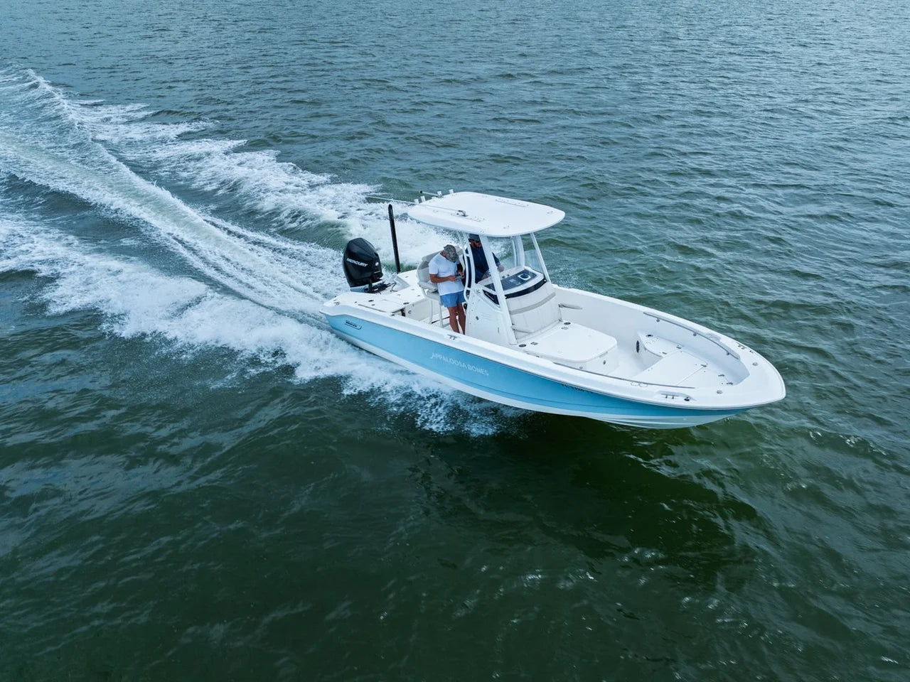 2024 Boston Whaler 250 DAUNTLESS 25.0 feet, St Petersburg, FL #13