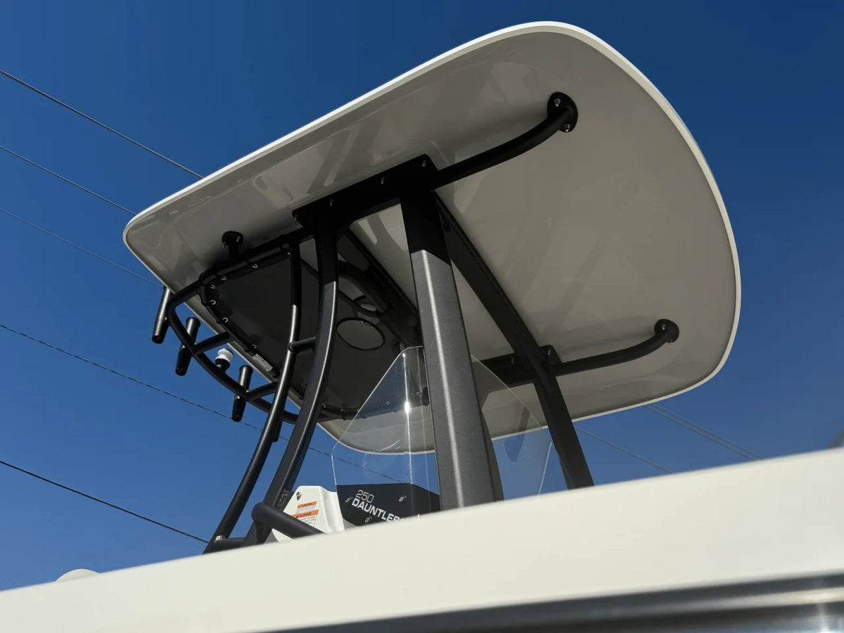 2026 Boston Whaler 250 Dauntless 25.0 feet, Panama City, FL #6