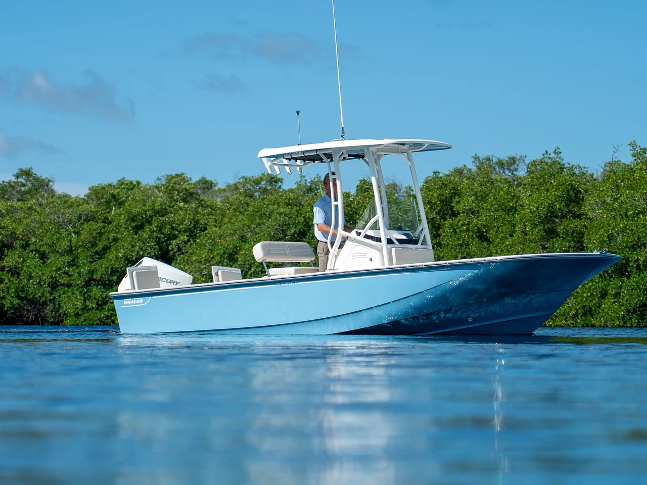 2026 Boston Whaler 210 Montauk 21.0 feet, Fort Myers, FL #21