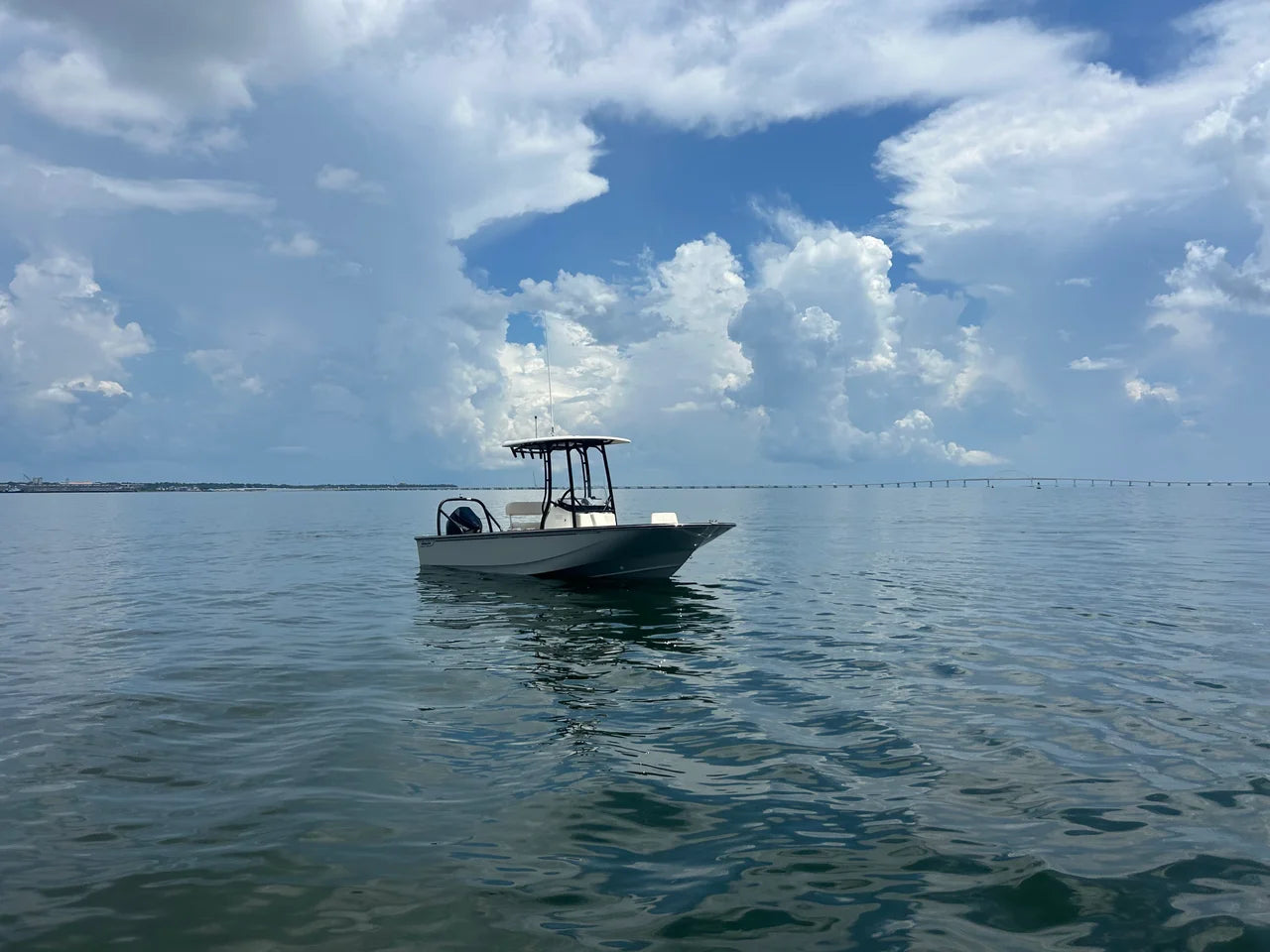 2027 Boston Whaler 210 Montauk 21.0 feet, Pensacola, Florida #4