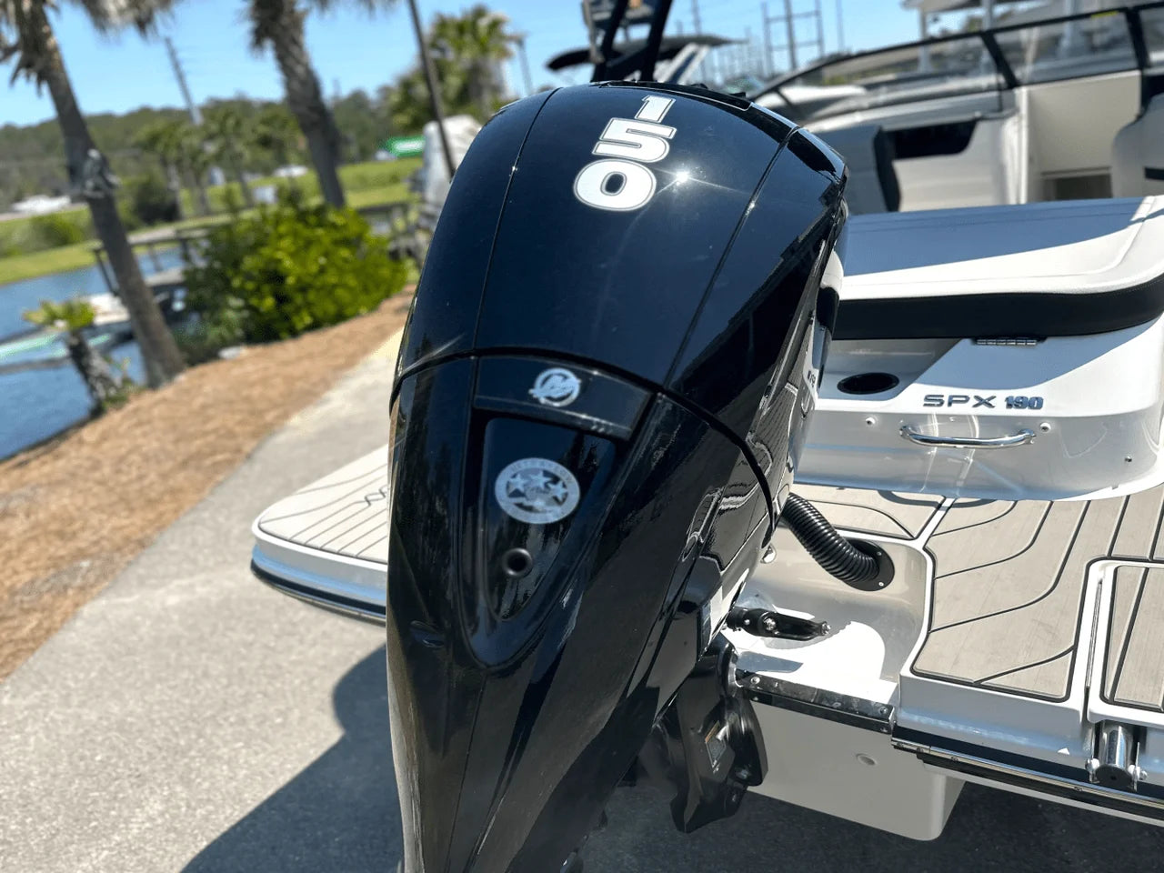 2025 Sea Ray SPX 190 Outboard 19.0 feet, Charleston, SC #4