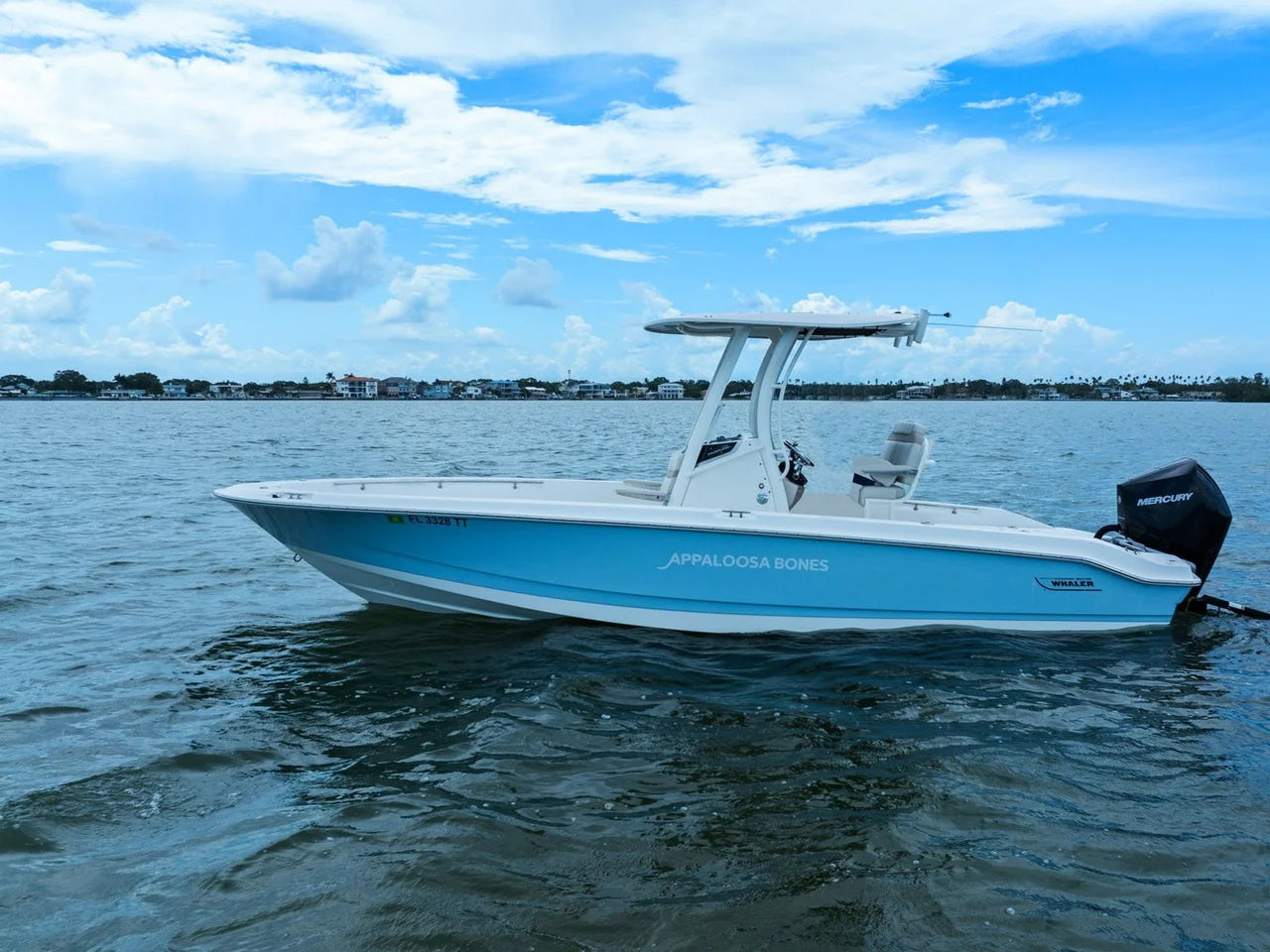 2024 Boston Whaler 250 DAUNTLESS 25.0 feet, St Petersburg, FL #8